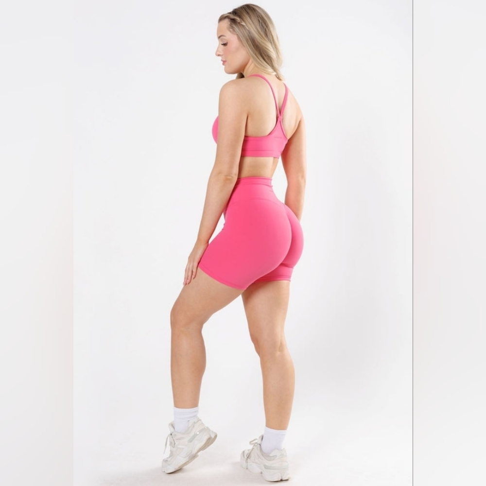 NWT Paragon Sculptseam PLUS - RecStretch 6 Inch Dreamgirl Sz M